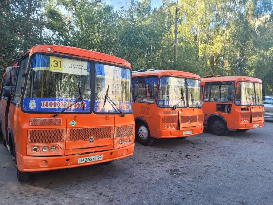 На маршруте Т-31 началась замена автобусов на более вместительные