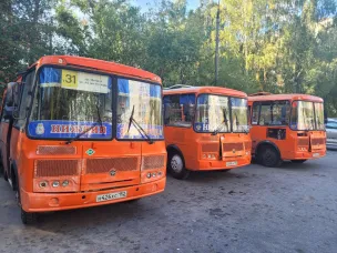 Автобусный маршрут Т-31 сменил название на А-31