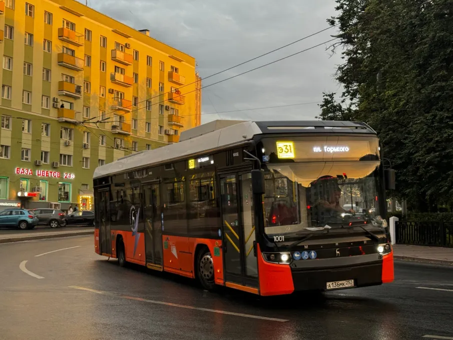 Минтранс проводит опрос по изменению номеров автобусного или электробусного маршрутов 31